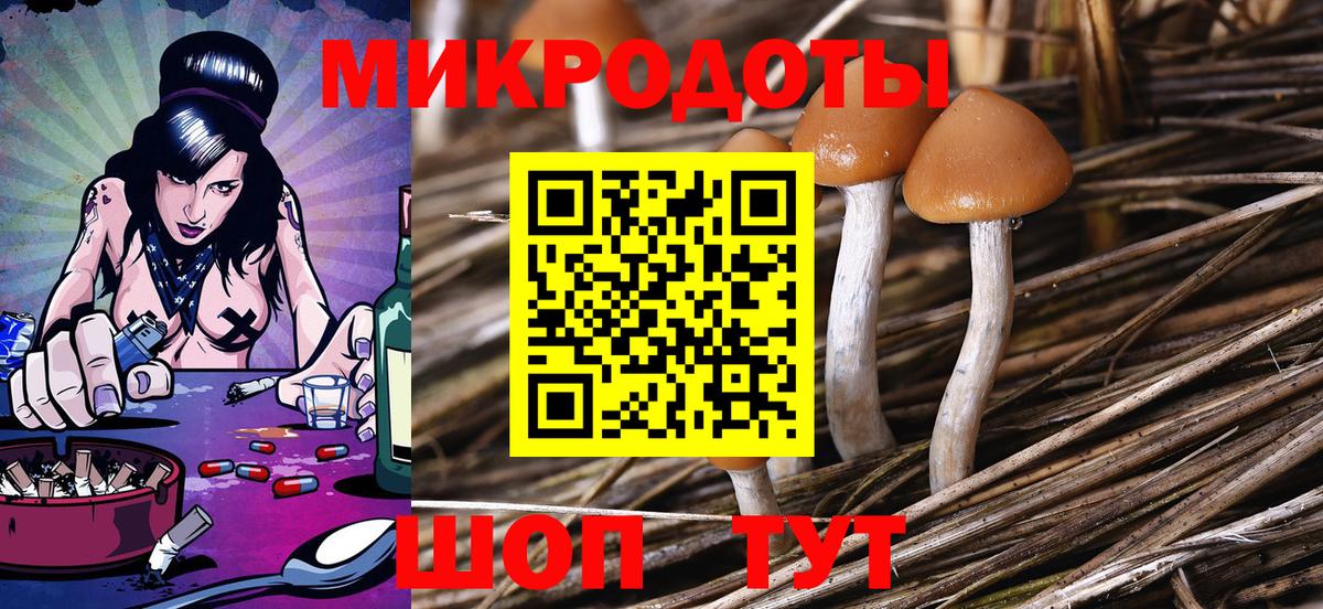 Дубна  Галлюциногенные грибы MAGIC MUSHROOMS  Вход с VPN 